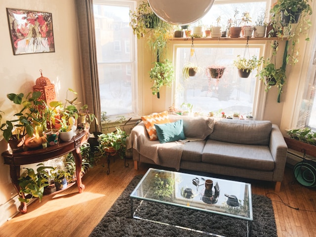 A bright, warm living room with natural sunlight coming through large windows, a comfortable sofa, wooden furniture, and green indoor plants