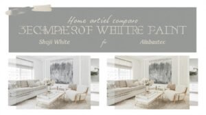 Shoji White vs Alabaster
