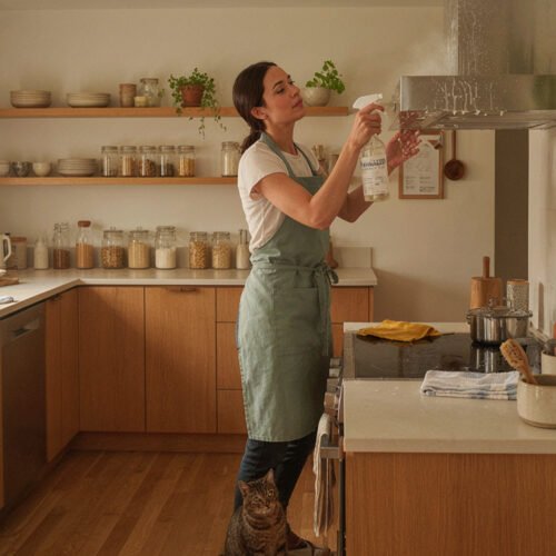 Deep Cleaning Kitchen: How to Remove Grease, Dirt, and Kitchen Grime