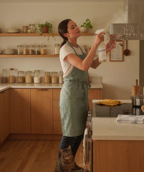 Deep Cleaning Kitchen: How to Remove Grease, Dirt, and Kitchen Grime